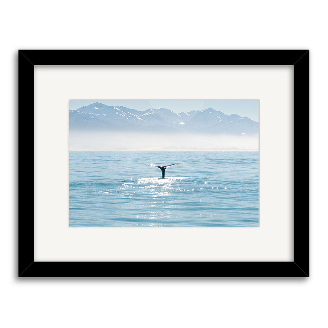 Whale - RP203: A framed photo of a whales tail above calm blue water, snow-capped mountains in the background, and sunlight on the sea. Printed on archival matte paper, this print captures New Zealands beauty.