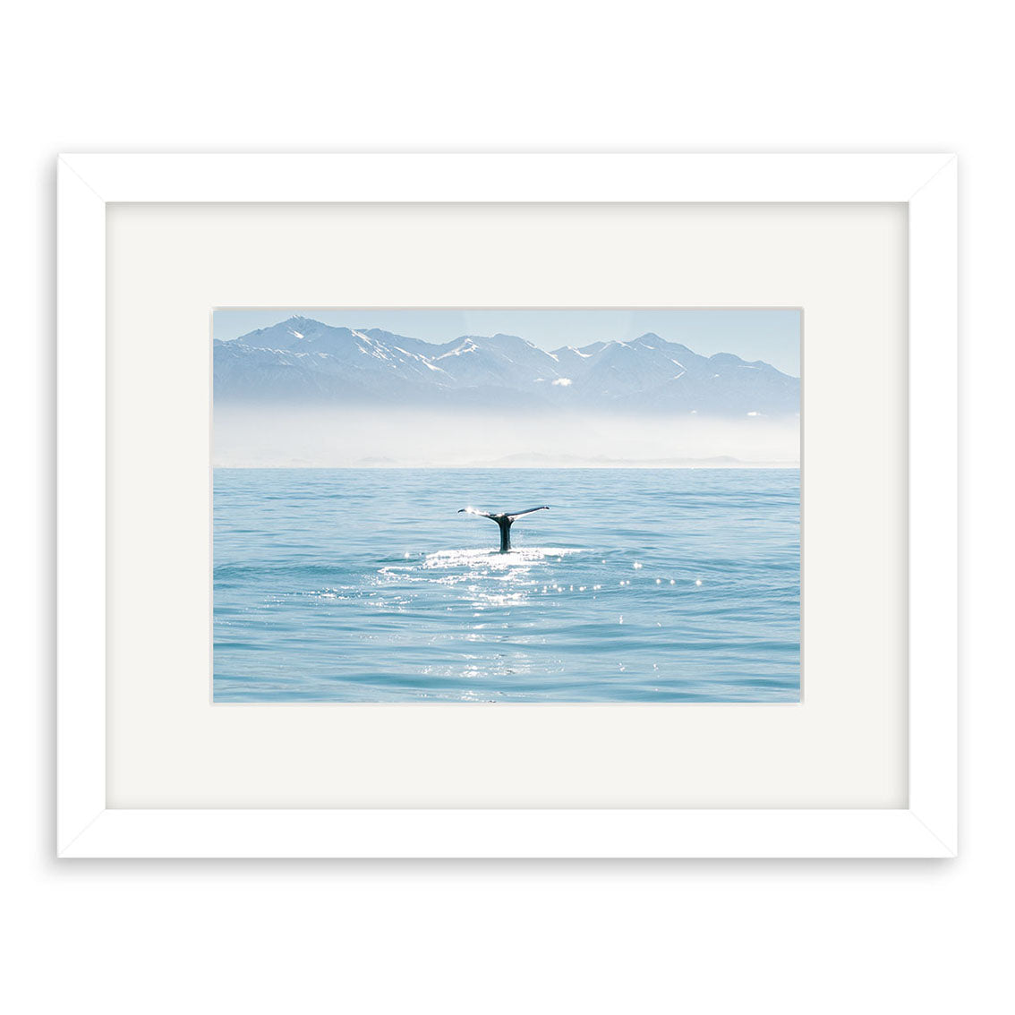 Whale - RP203: A framed photographic print featuring a whale’s tail above calm blue water, snow-capped mountains, and a hazy New Zealand sky, expertly printed on archival quality matte paper.