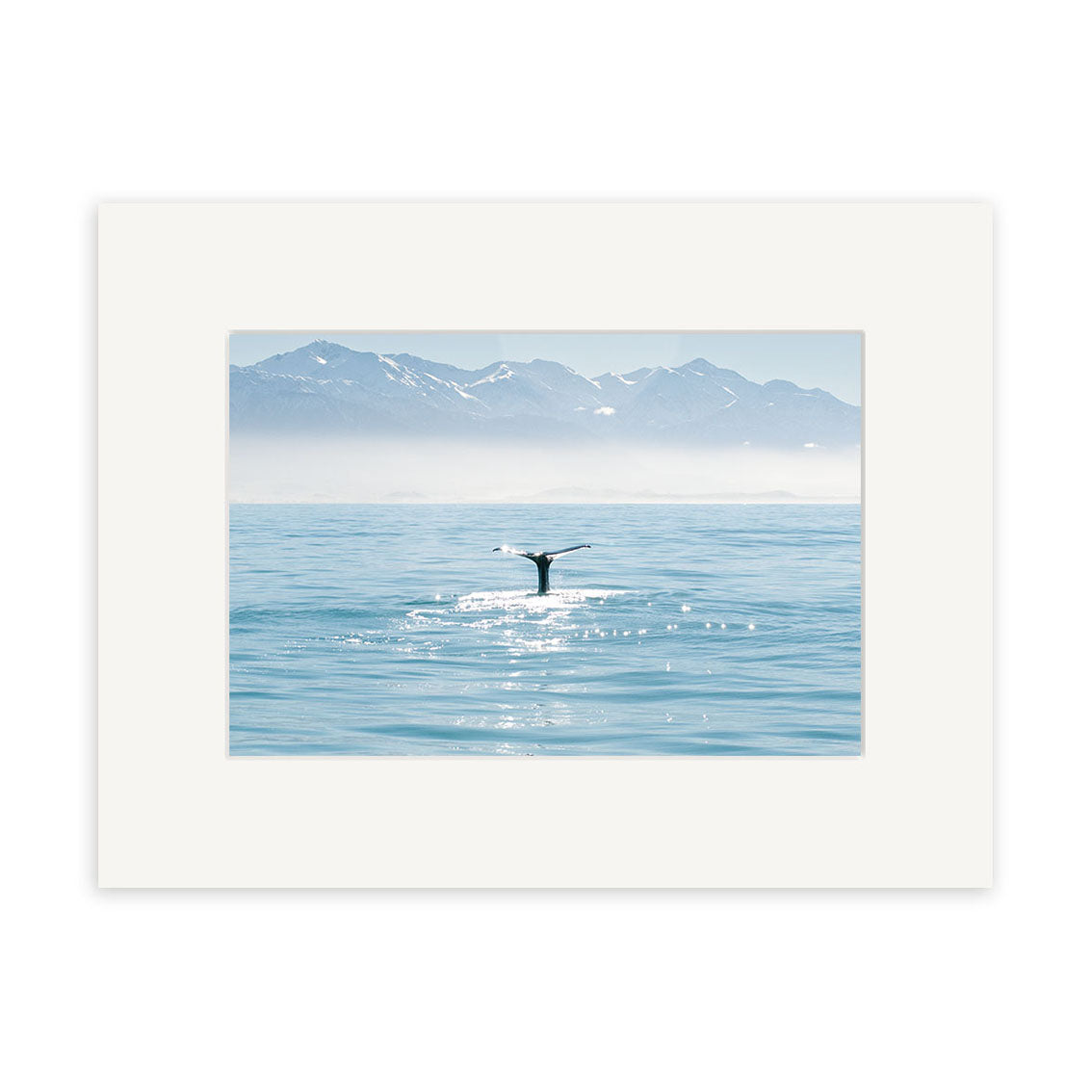 The Whale - RP203 features a whales tail fin above the tranquil ocean with snow-capped mountains beyond, captured in stunning photographic prints on archival quality matte paper.