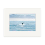 The Whale - RP203 features a whales tail fin above the tranquil ocean with snow-capped mountains beyond, captured in stunning photographic prints on archival quality matte paper.