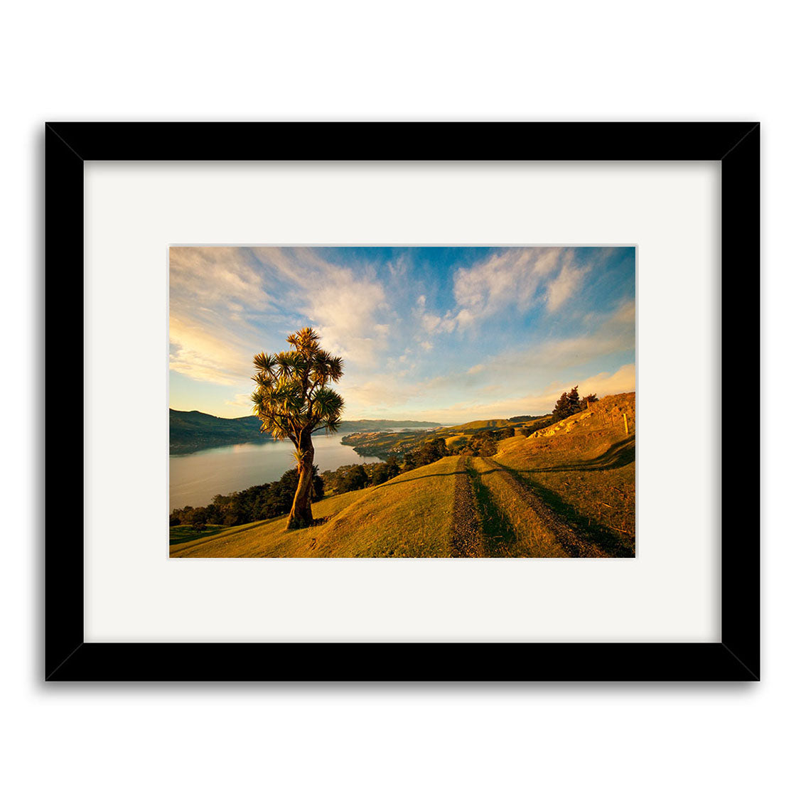 A framed photograph titled Otago Peninsula - RP213 displays a scenic New Zealand hillside with a lone tree, grassy slopes, and water beneath a partly cloudy sky. It is centered with a white mat, black frame, and printed on archival matte paper.