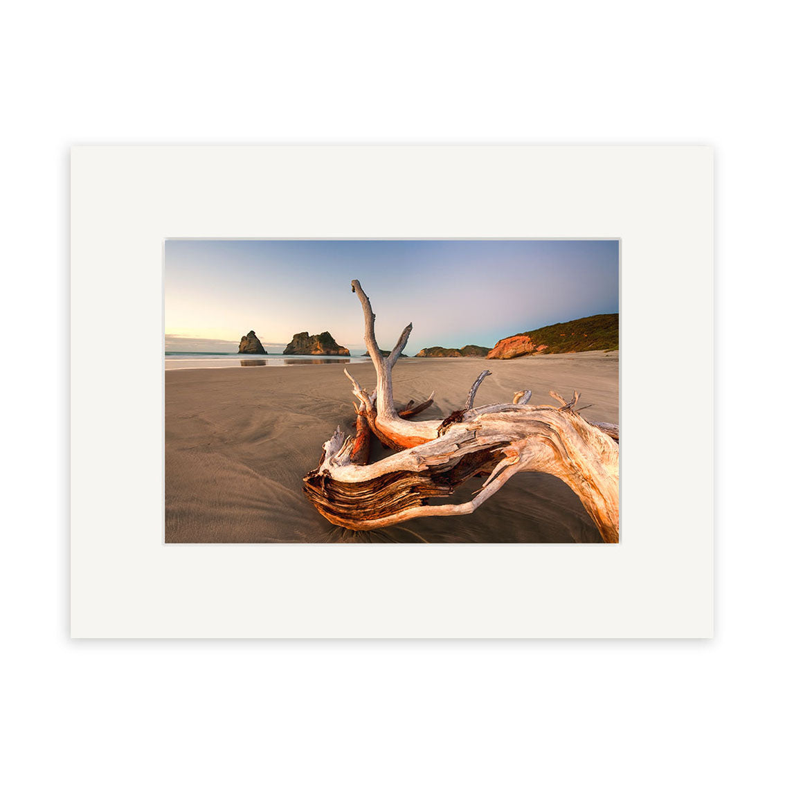 Wharariki 2 - RP219 captures a large piece of driftwood on a sandy New Zealand beach with distant rocks and cliffs under a clear sky, offered as archival quality matte paper prints with a simple white mat frame.