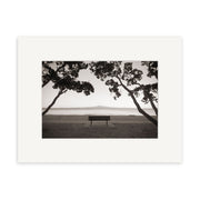 “Mission Bay - RP232” is a black-and-white photo print showing an empty bench facing the ocean, framed by two trees with an island in the distance. Printed on archival matte paper and matted with a white border, it captures New Zealand’s tranquility.