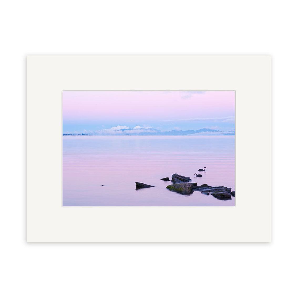 Lake Taupo - RP237: A serene sunset over calm waters in New Zealand, featuring rocks and two birds near the shore, with pink and purple skies, distant clouds, and mountains. Presented with a white mat—ideal for photographic prints.