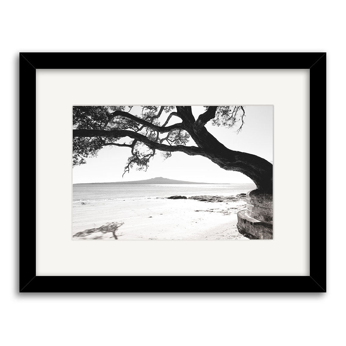 Narrow Neck - RP250 is a black and white photo of a curved tree branch over a sandy New Zealand beach with calm water and a distant island, printed on archival matte paper in a black frame with white mat.