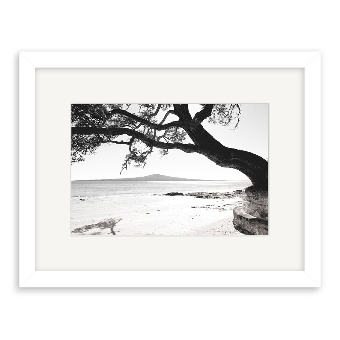 Narrow Neck - RP250 is a black-and-white photo of a New Zealand beach with a large tree branch over the sand, calm water, and a distant island, beautifully framed in white on archival quality matte paper.