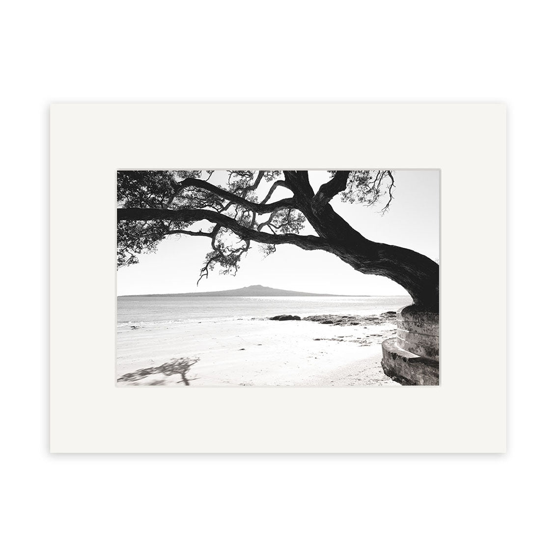 Black and white photo Narrow Neck - RP250 captures a New Zealand beach with a large tree branch shadow on the sand, calm ocean, and distant island. Available as photographic prints on archival matte paper.