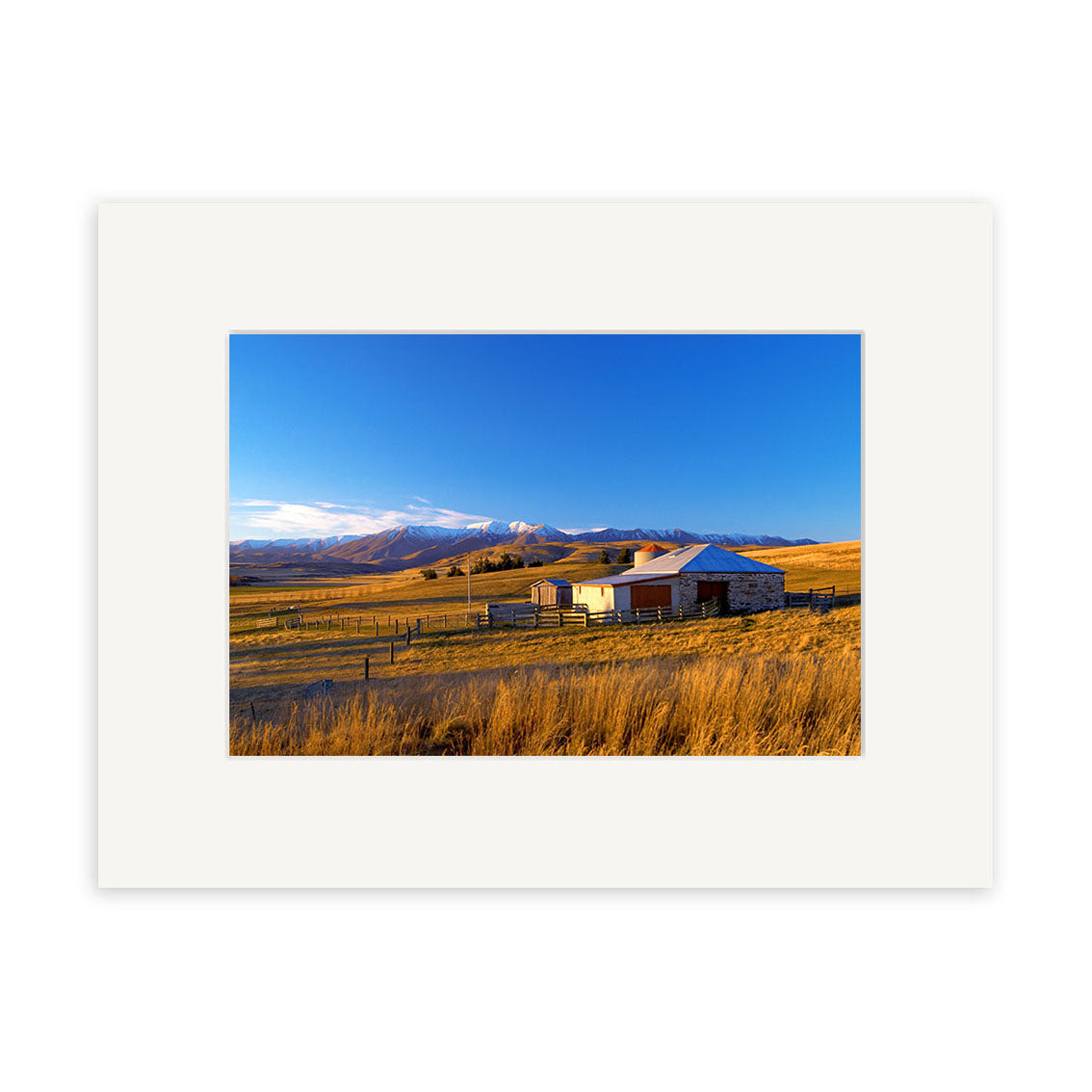 A small barn and shed rest in a golden field with snow-capped mountains under a blue sky. Central Otago - RP074 by Reuben Price comes with a white mat frame, ideal for displaying this stunning New Zealand photographic print.