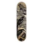 The Tuatara Stamp Skateboard Deck is a Canadian maple deck featuring vintage-style illustrations of a frog and three birds amid foliage, blending natural elements into a unique piece of contemporary art.
