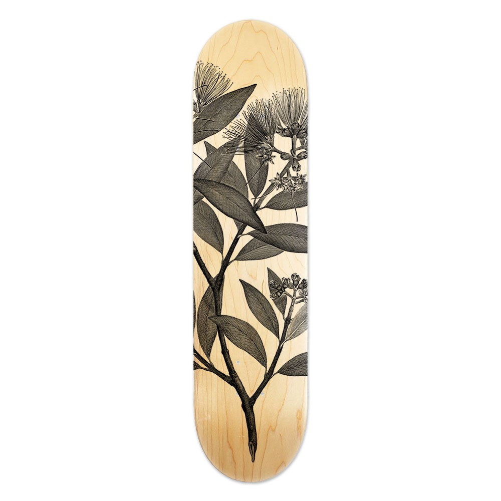 The Pohutukawa Skateboard Deck is crafted from Canadian maple with a natural wood finish and features a striking black botanical illustration of New Zealand Pohutukawa leaves and flowers, blending nature with contemporary art.