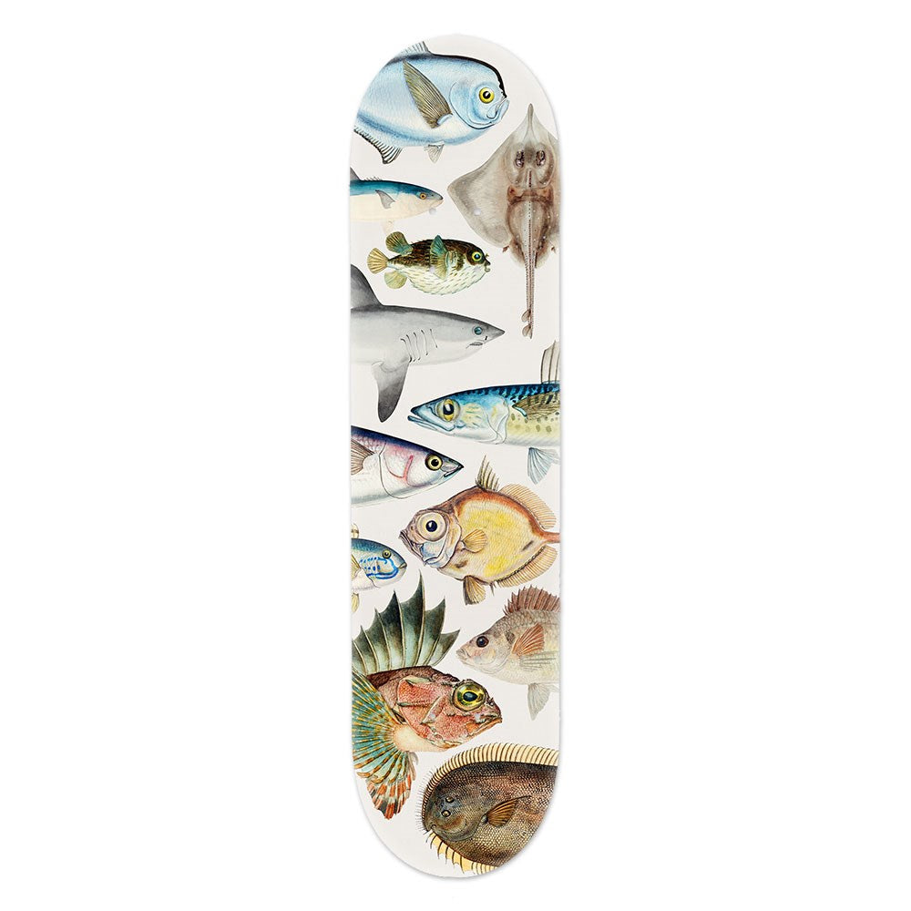 The Fishes of New Zealand Skateboard Deck is a Canadian maple deck showcasing colorful, detailed illustrations of various fish species arranged vertically on a white background—a unique blend of contemporary art and design.