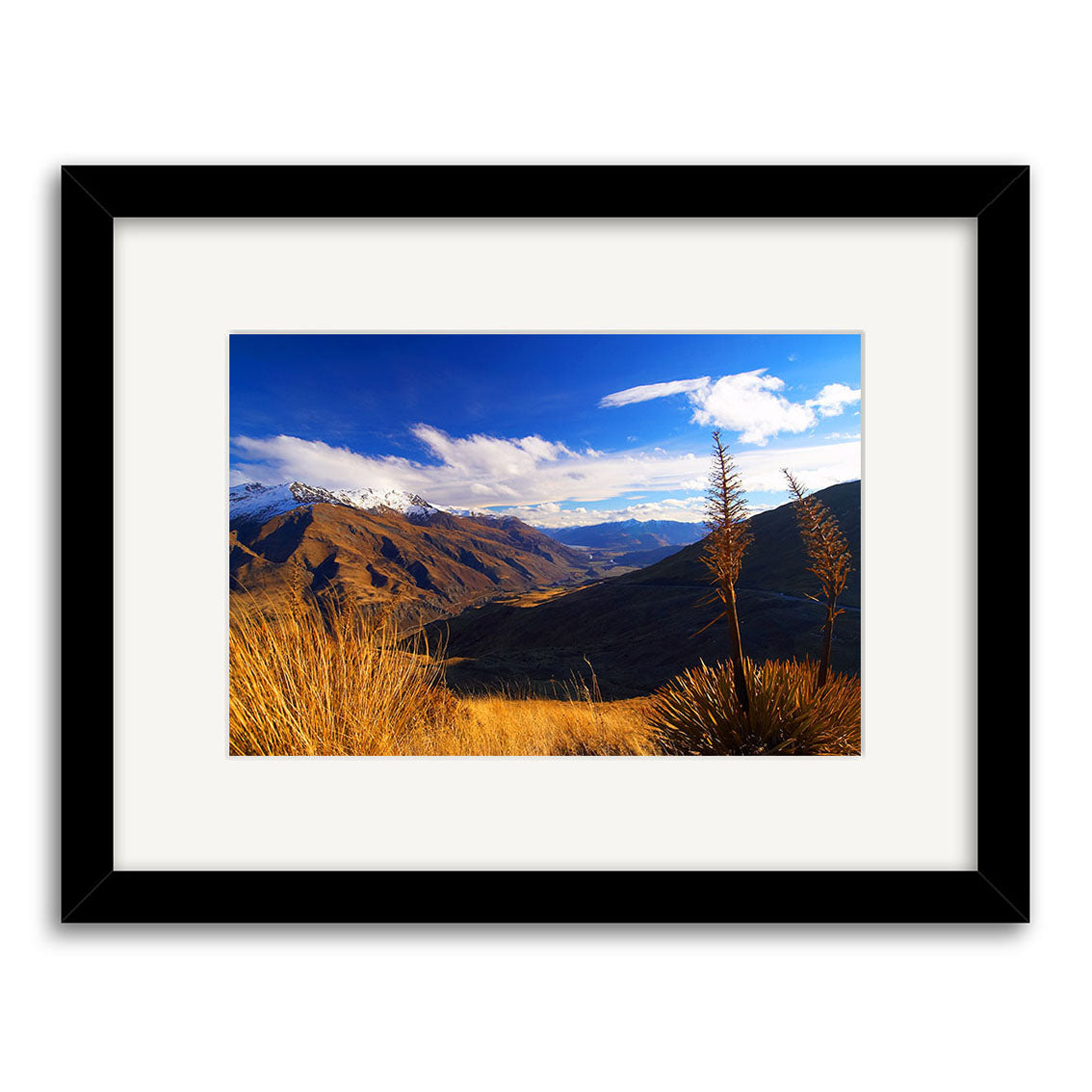 Crown Range - RP072 by Reuben Price: a framed photographic print of snowy mountain peaks, dry grass, and spiky plants under a blue sky. Black frame and white mat emphasize its archival quality.