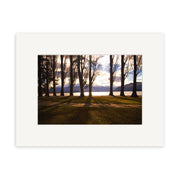 The Lake Wanaka - RP067 photographic print by Reuben Price features tall, leafless trees casting shadows on grass, with a lake and mountains behind, under a partly cloudy sky. Presented with a white mat, it captures New Zealand’s serene beauty.