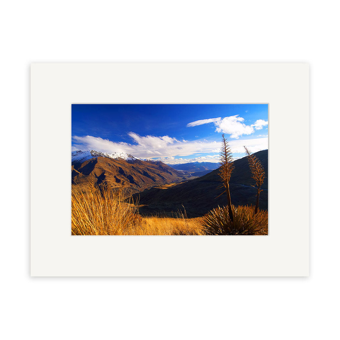 The Crown Range - RP072 is an archival quality photographic print by Reuben Price, featuring golden grass and tall plants before rolling hills and snow-capped mountains beneath a blue sky. Beautifully framed with a white mat.