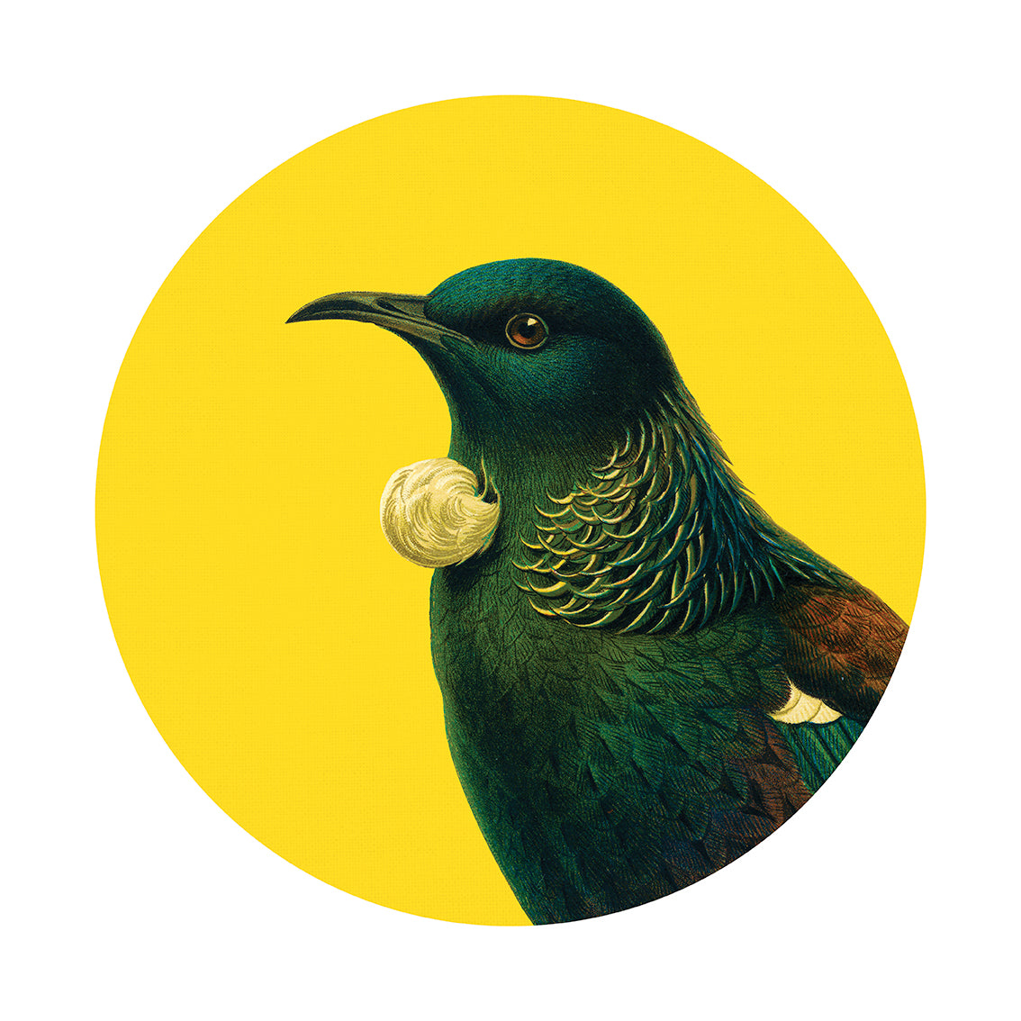 Bright Tui Art Spot features a tui bird with iridescent green-blue feathers and a white throat tuft, shown in profile on a vivid yellow circle. Crafted as repositionable wall art with unique adhesive for easy peel-and-stick display.