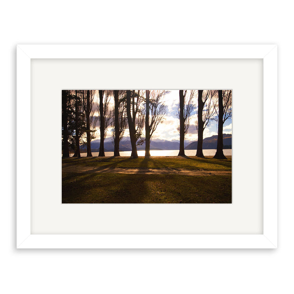 Tall, leafless trees cast long shadows as sunlight filters through their trunks. In the background, New Zealand’s Lake Wanaka (RP067) and mountains shimmer beneath a partly cloudy sky—ideal for photographic prints.