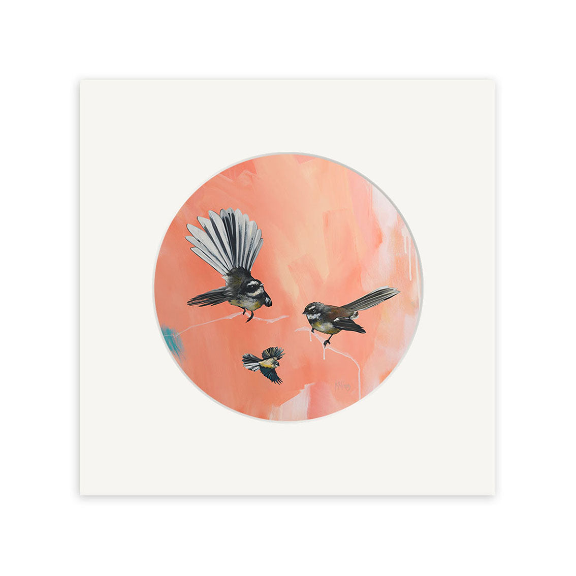 Three small fantails soar against a soft pink and peach circular background, centered on a white square canvas—a refined art print by Kirsty Nixon titled In The Pink (Fantails).