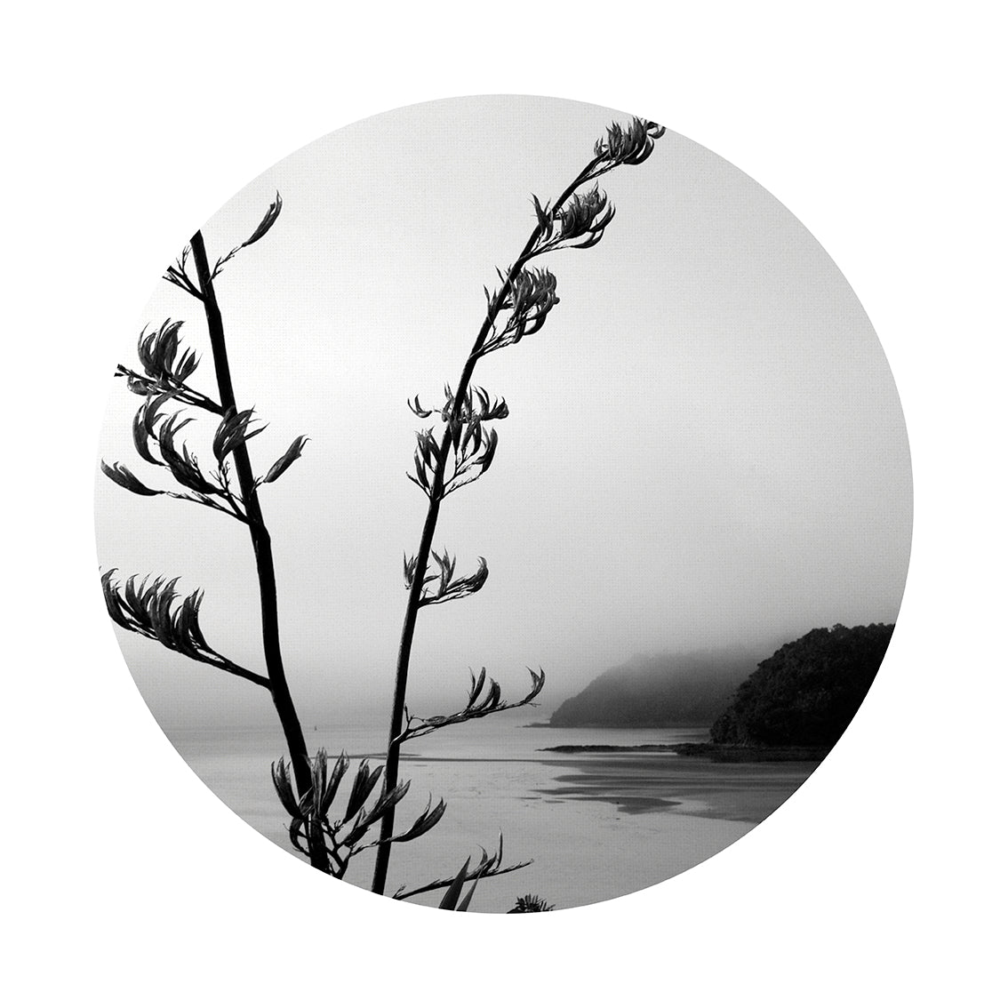 Paihia Art Spot: A black and white circular wall art print with tall, leafless stems in front of a misty shoreline and tree-covered hills. Printed on repositionable matte fabric for easy installation.
