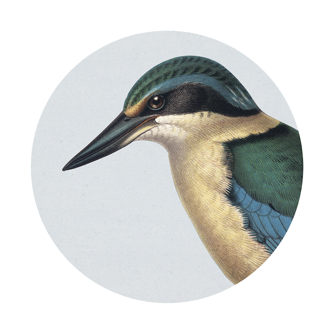 Hushed Blue Kingfisher Art Spot: Profile illustration of a bird with a long black beak, green and blue feathers, and cream chest in a circular frame on a light background—ideal as repositionable wall art.