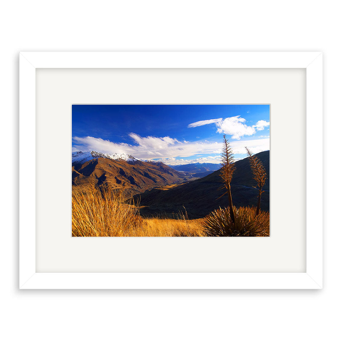 Crown Range - RP072 is a framed Reuben Price photograph featuring snow-capped peaks, golden grass, and two tall plants beneath a blue sky with clouds, available as archival quality photographic prints.