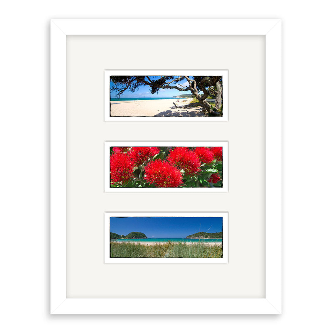 The Northland Triptych - RP031 features three landscape photos—a beach with a tree, vivid red flowers, and a grassy coastal view—showcasing the archival beauty of New Zealand’s vistas in a sleek white frame.