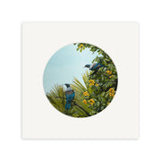 The Kirsty Nixon - Point of View Small Art Print features two blue and black birds perched on green leaves with yellow berries, set against a pale blue sky. Inspired by New Zealand nature, this circular illustration appears on a white square background.