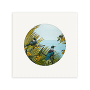 The Kirsty Nixon - Tandem Small Art Print depicts two dark-plumaged birds perched among green leaves and yellow berries, set against a pale blue sky and framed by a circular window on a white square mat.